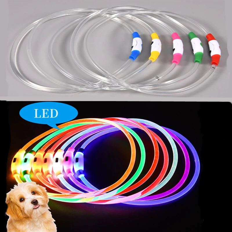 Glow-Up Pet Collar Light | Waterproof & USB Rechargeable
