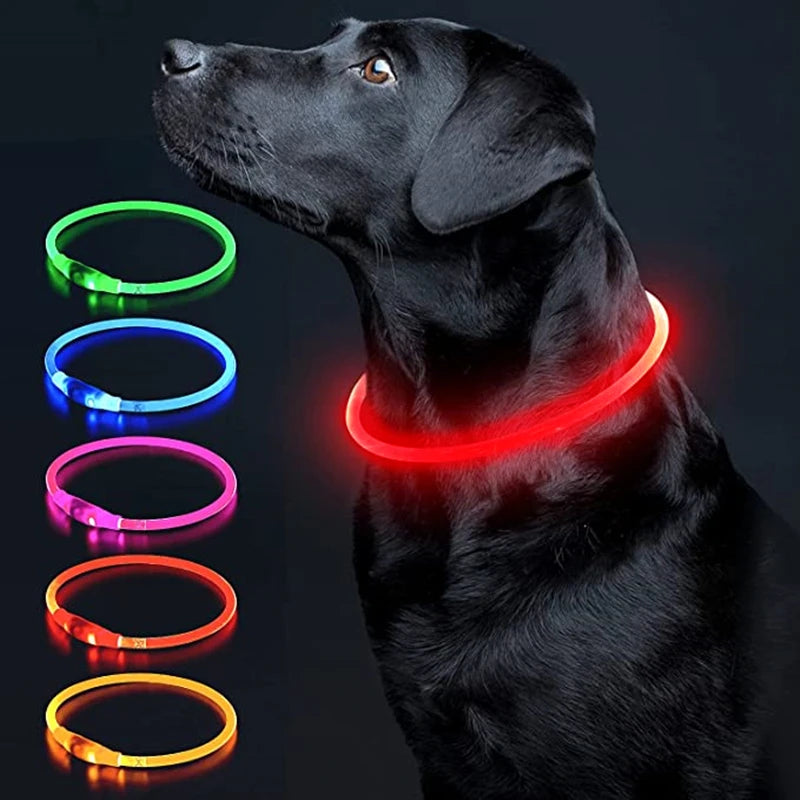 Glow-Up Pet Collar Light | Waterproof & USB Rechargeable