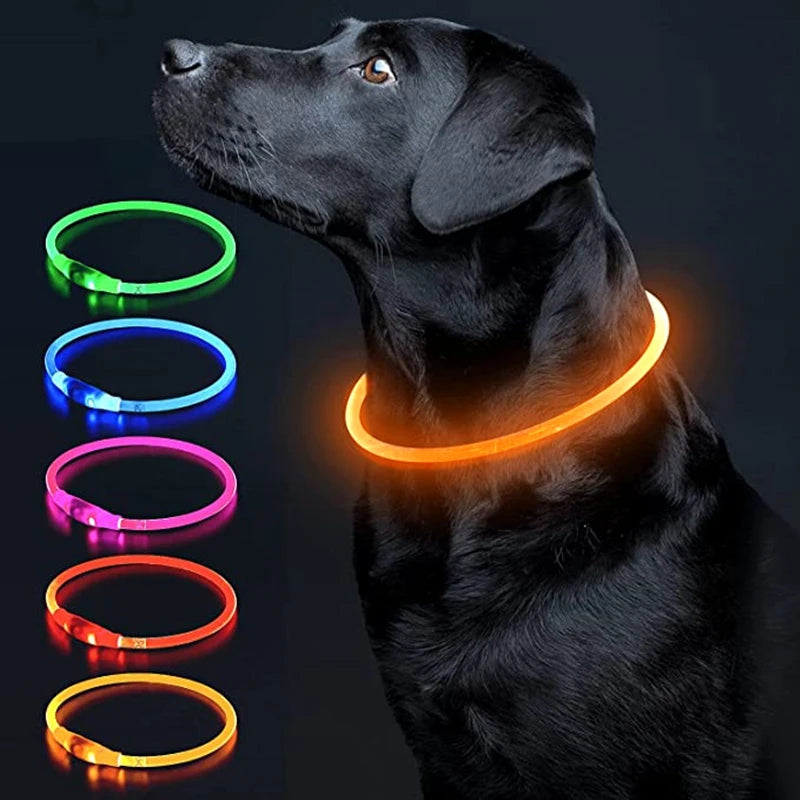 Glow-Up Pet Collar Light | Waterproof & USB Rechargeable