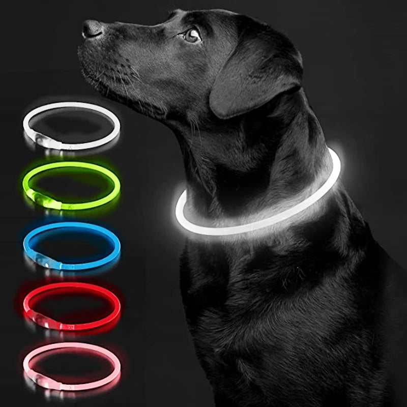 Glow-Up Pet Collar Light | Waterproof & USB Rechargeable