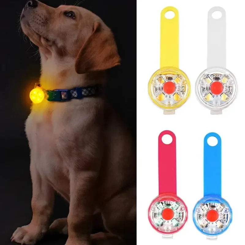 LED Safety Collar | USB Rechargeable for Dogs & Cats