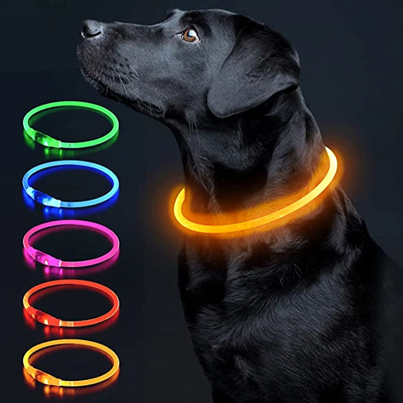 Glow-Up Pet Collar Light | Waterproof & USB Rechargeable