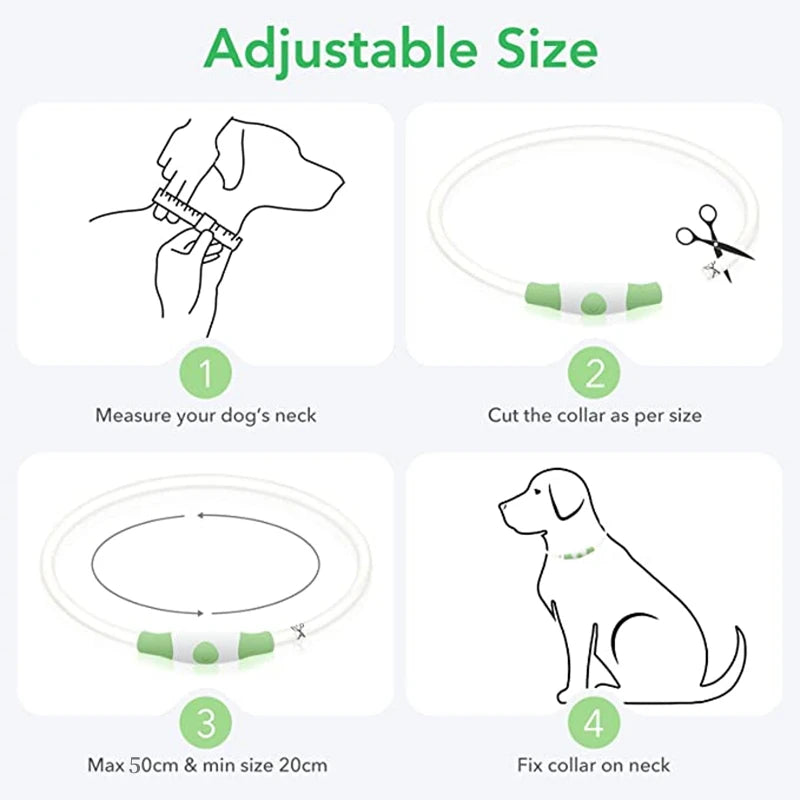 Glow-Up Pet Collar Light | Waterproof & USB Rechargeable