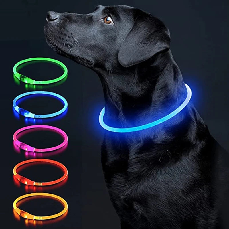 Glow-Up Pet Collar Light | Waterproof & USB Rechargeable