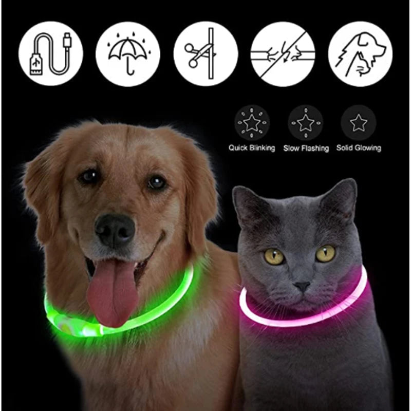 Glow-Up Pet Collar Light | Waterproof & USB Rechargeable
