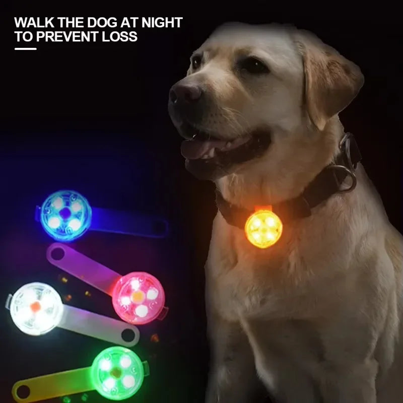 LED Safety Collar | USB Rechargeable for Dogs & Cats