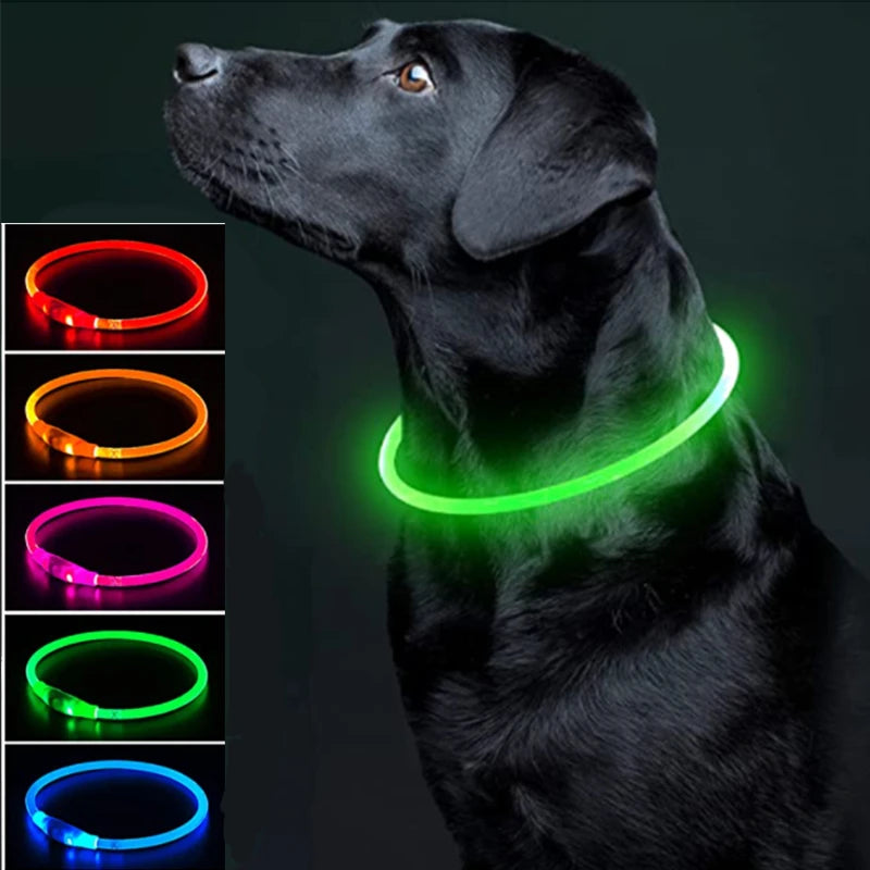 Glow-Up Pet Collar Light | Waterproof & USB Rechargeable