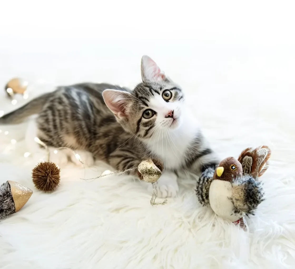 Flying Sparrow Cat Toy | Chirping Catnip Bird