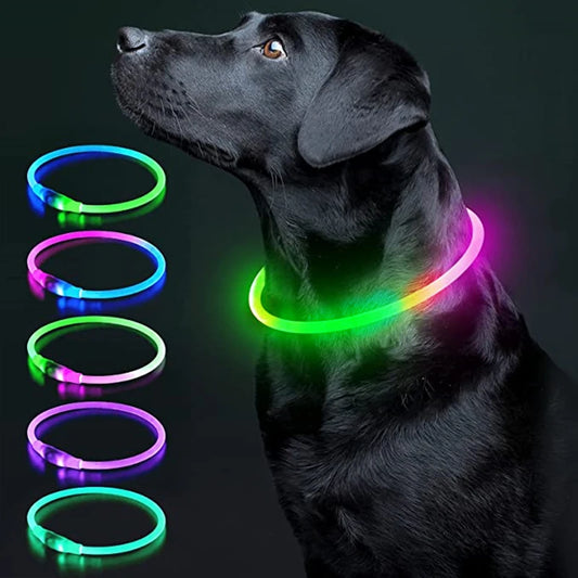 Glow-Up Pet Collar Light | Waterproof & USB Rechargeable