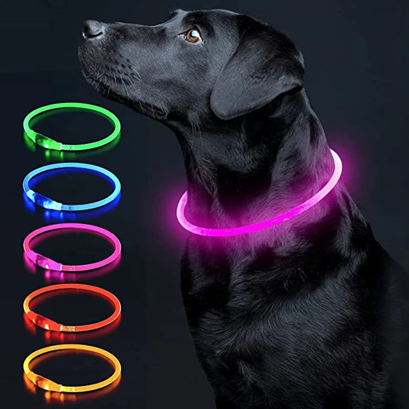 Glow-Up Pet Collar Light | Waterproof & USB Rechargeable