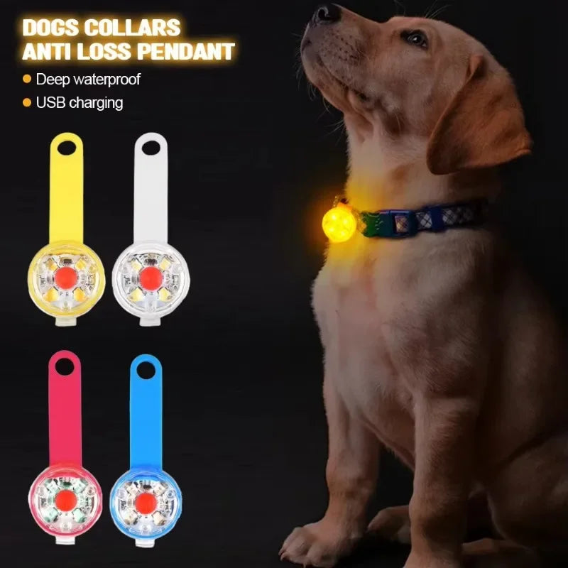 LED Safety Collar | USB Rechargeable for Dogs & Cats
