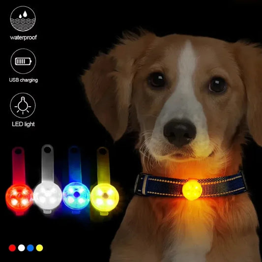 LED Safety Collar | USB Rechargeable for Dogs & Cats